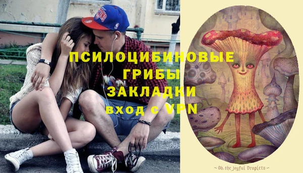 эйфоретик Козловка